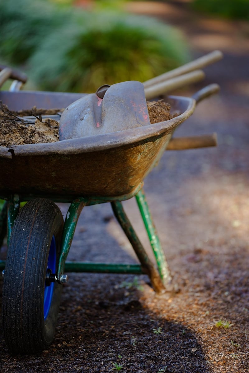 Spring Garden Care